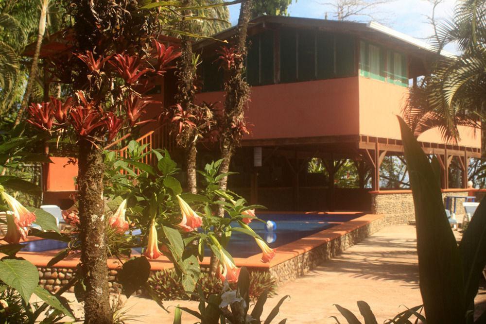 Perla Negra Hotel Puerto Viejo de Talamanca Buitenkant foto